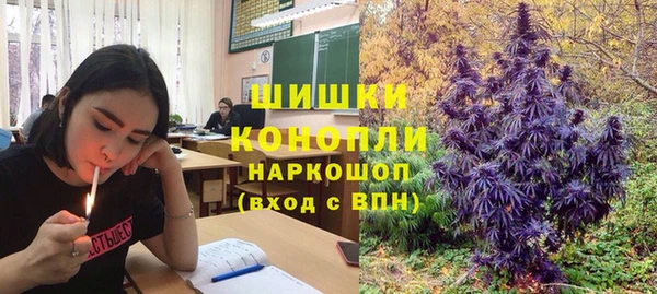 спиды Костерёво