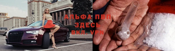 стаф Краснослободск