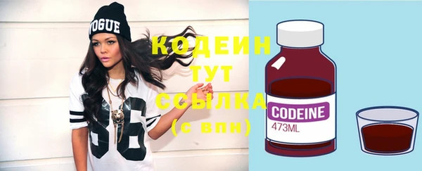 гашик Корсаков