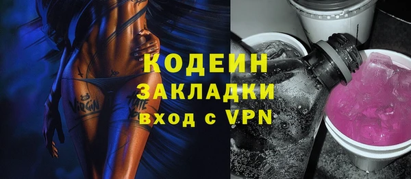 гашик Корсаков