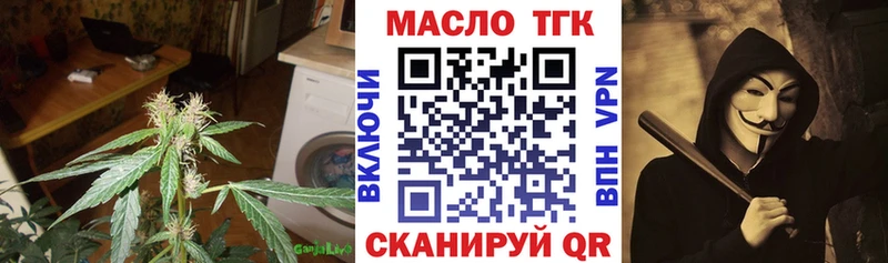 Купить где  Карабаново  ТГК THC oil 